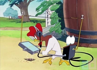 The Rattled Rooster
