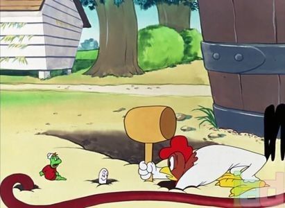 The Rattled Rooster