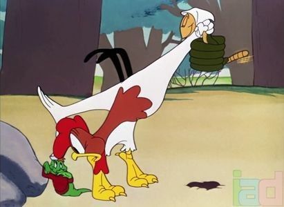 The Rattled Rooster