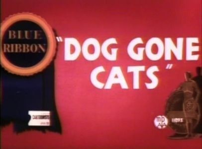 Dog Gone Cats