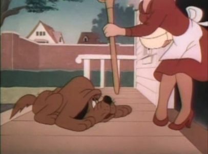 Dog Gone Cats