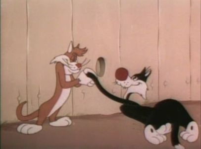 Dog Gone Cats