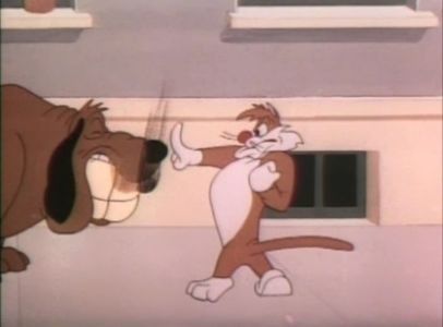 Dog Gone Cats