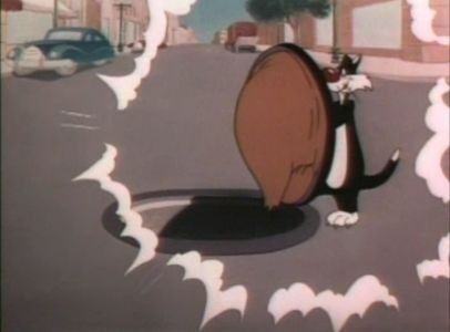 Dog Gone Cats