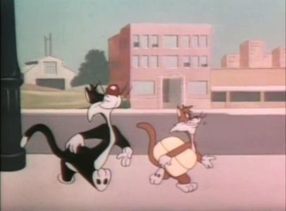 Dog Gone Cats