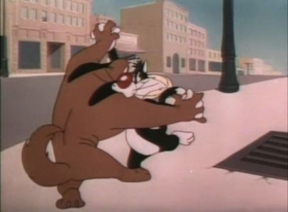 Dog Gone Cats
