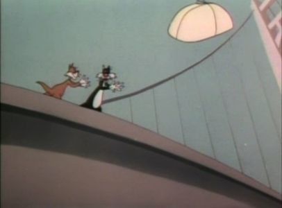 Dog Gone Cats