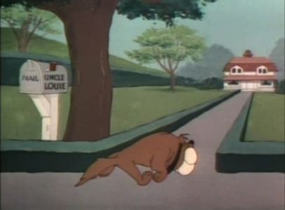 Dog Gone Cats