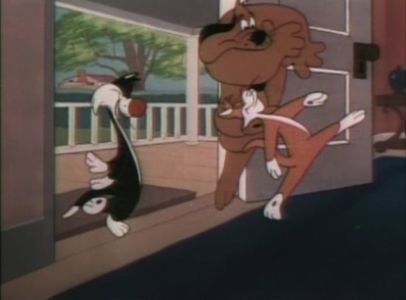 Dog Gone Cats