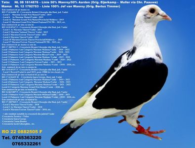 RO 22 0882505 F PRET 300 Lei + transportul