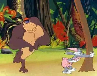 Gorilla My Dreams