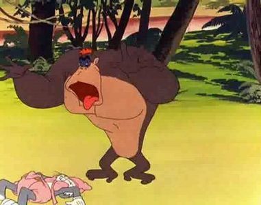 Gorilla My Dreams