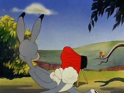 Elmers Candid Camera