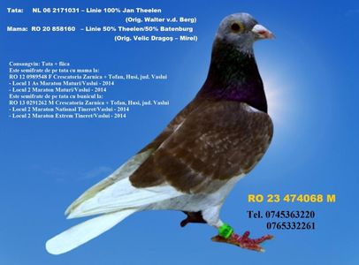 RO 23 474068 M Pret  150 Lei + transportul