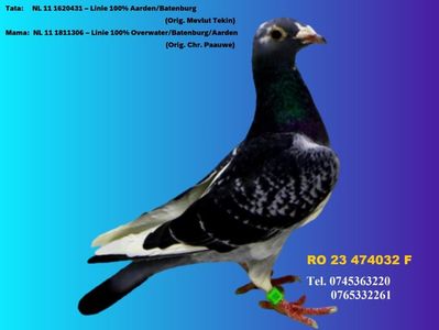 RO 23 474032 F PRET 150 Lei + transportul