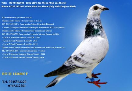 RO 21 1436065 F REZERVATA GALAN PIATRA NEAMT PRET 200 Lei + transportul