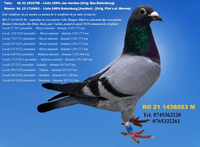 RO 21 1436053 M Pret 150 Lei + transportul