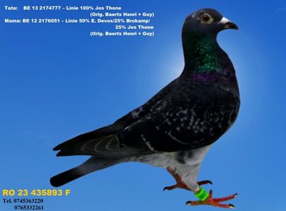 RO 23 435893 F PRET 150 Lei + transportul