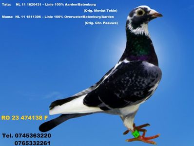 RO 23 474138 F PRET 150 Lei + transportul