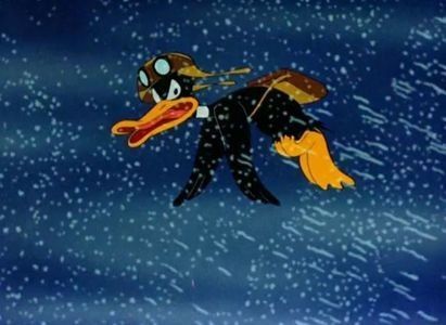 Plane Daffy