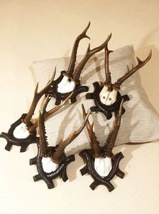 Set de cinci capriori rustici_3