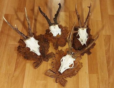 Set de capriori vigurosi pe panoplii sculptate_3