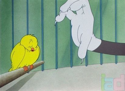 The Cagey Canary