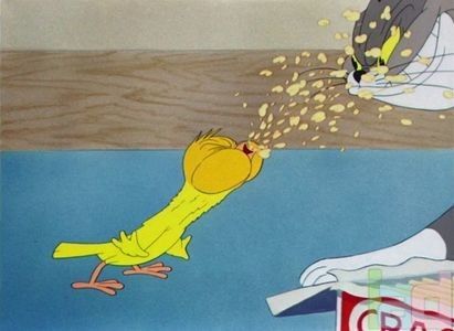 The Cagey Canary