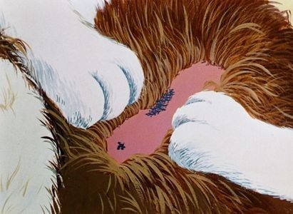 A Horse Fly Fleas