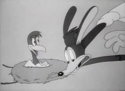 Hop And Go