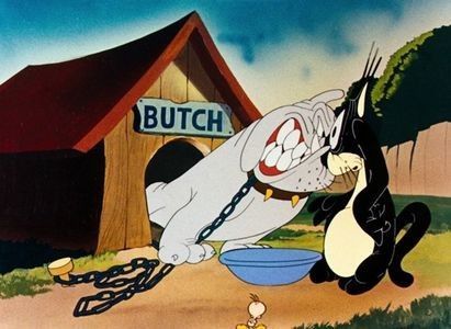 Birdy And The Beast