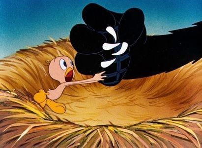 Birdy And The Beast