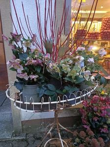 IMG20250120165608
