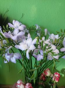 IMG20250118133714