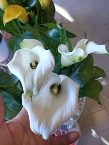 IMG20250118140804