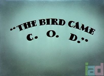 The Bird Came COD