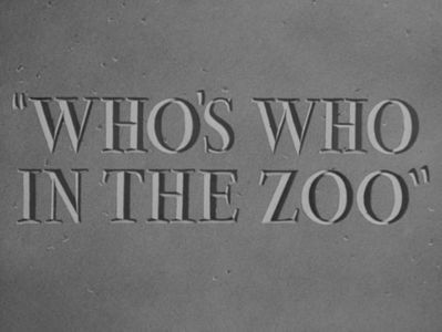 Whos Who In The Zoo