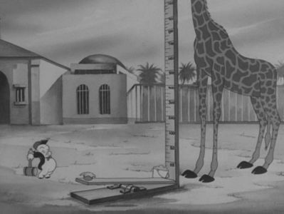 Whos Who In The Zoo