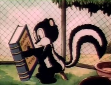 A Day At The Zoo