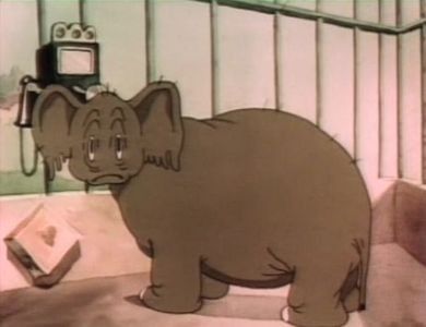 A Day At The Zoo