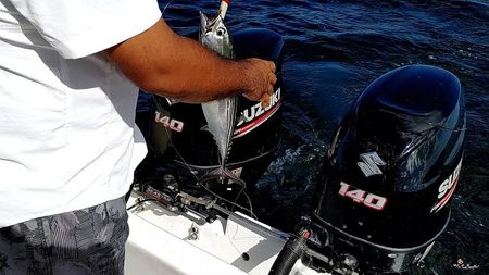 COSTA RICA - OCEAN FISHING 1