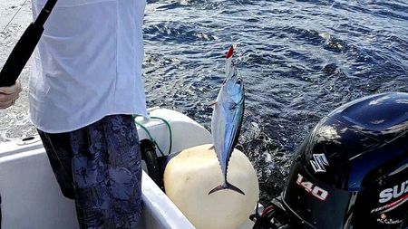 COSTA RICA - OCEAN FISHING 