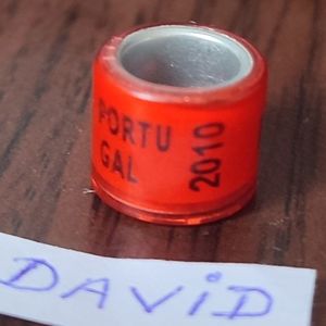 2010-Portugalia
