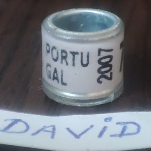 2007-Portugalia