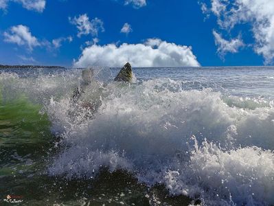 OCEAN WAVES in COSTA RICA