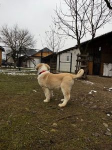 IMG-20250120-WA0013