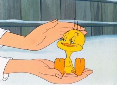 Tweetie Pie