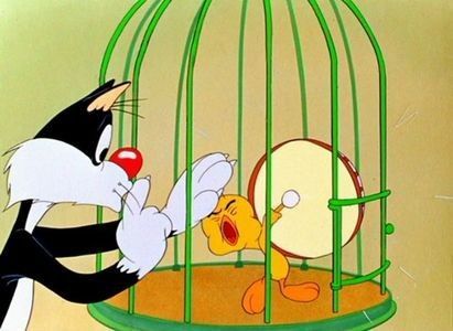 Tweetie Pie