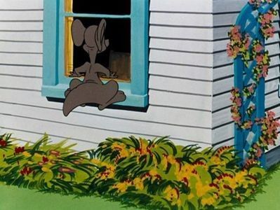 Hop Look And Listen