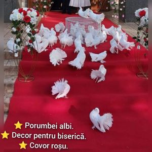 Porumbei albi, decor Mehedinți